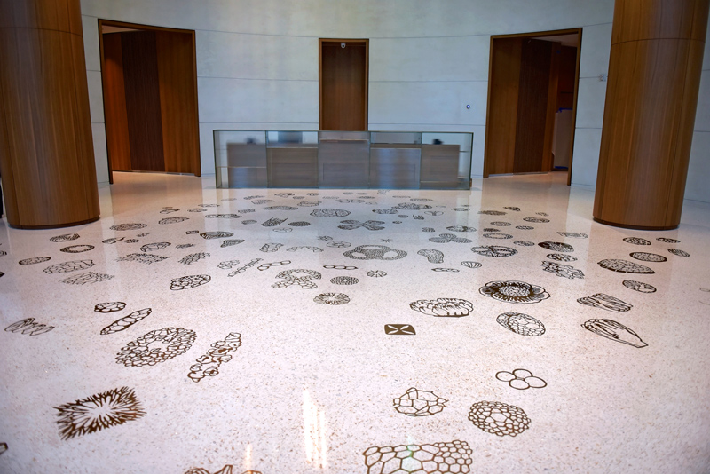 91香蕉丝瓜榴莲污污网站